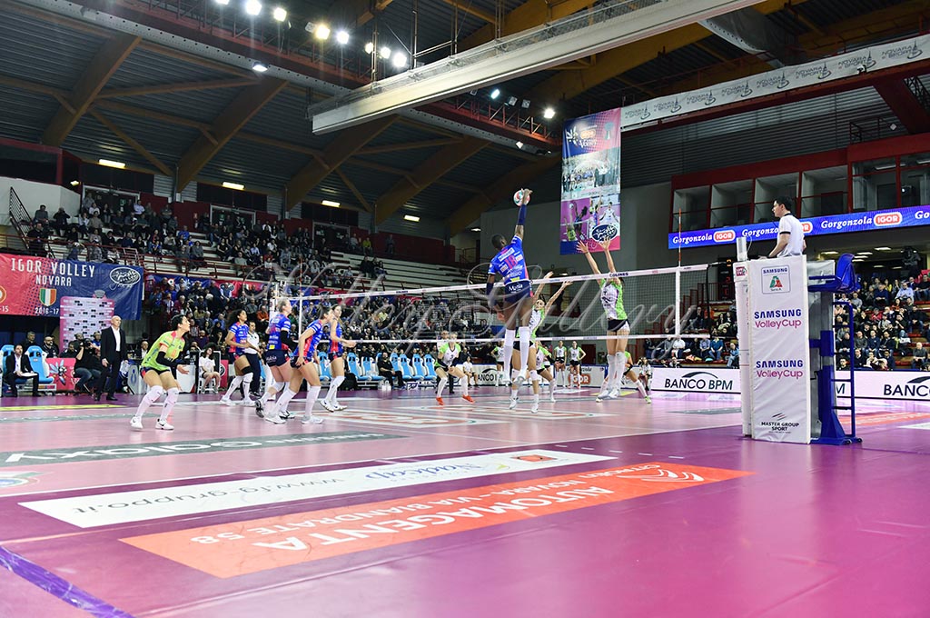 Igor NO-Il Bisonte FI (05)